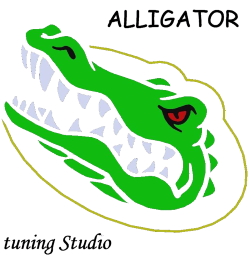 Ts Alligator